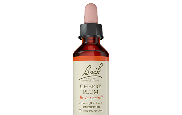 Cherry Morello Flavor - Premium – Medicine Flower